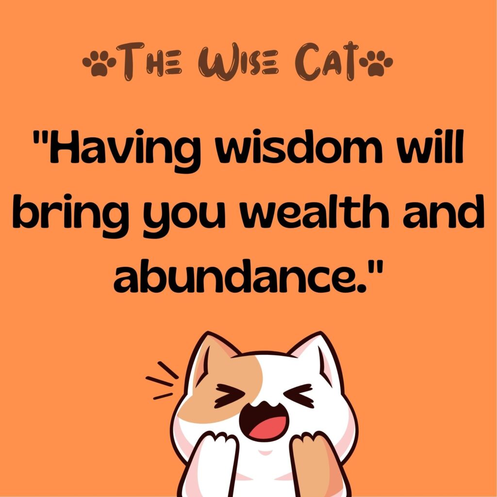 The Wise Cat